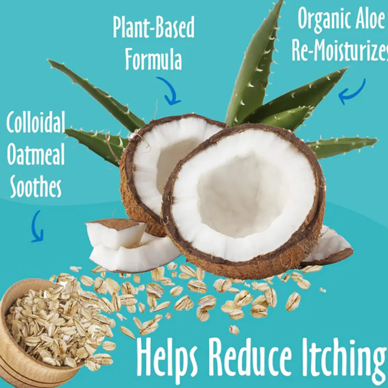 Earthbath Totally Natural Pet Care Oatmeal & Aloe Detangling Itch Relief Conditioner for Dogs & Cats