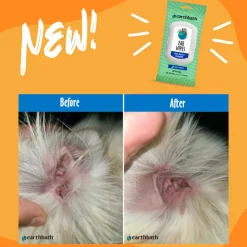 Earthbath Totally Natural Pet Care Clean & Deodorize Ear Wipes for Dogs & Cats