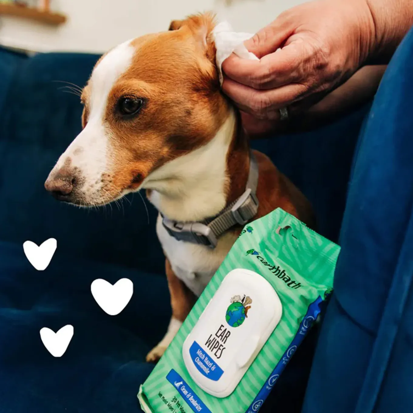 Earthbath Totally Natural Pet Care Clean & Deodorize Ear Wipes for Dogs & Cats