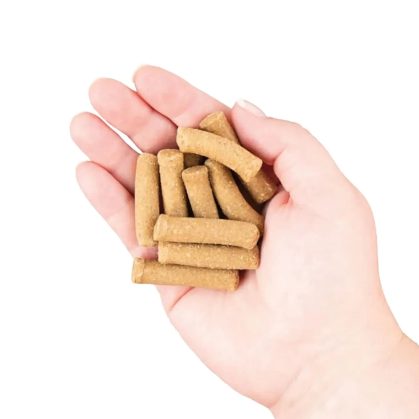 Earthborn Holistic EarthBites Chewy Grain-Free Dog Treats