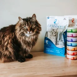Earthborn Holistic Grain-Free Natural Dry Cat & Kitten Food