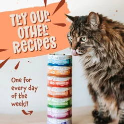 Earthborn Holistic Grain-Free Wet Canned Cat Food