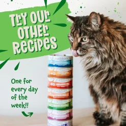 Earthborn Holistic Grain-Free Wet Canned Cat Food