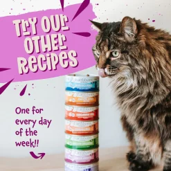 Earthborn Holistic Grain-Free Wet Canned Cat Food