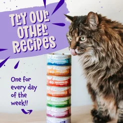 Earthborn Holistic Grain-Free Wet Canned Cat Food