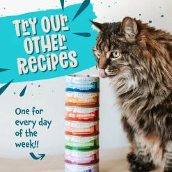 Earthborn Holistic Grain-Free Wet Canned Cat Food