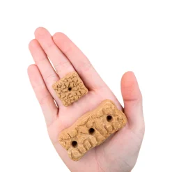 Earthborn Holistic Earthbars Turkey Mini Crunchy Dog Treats