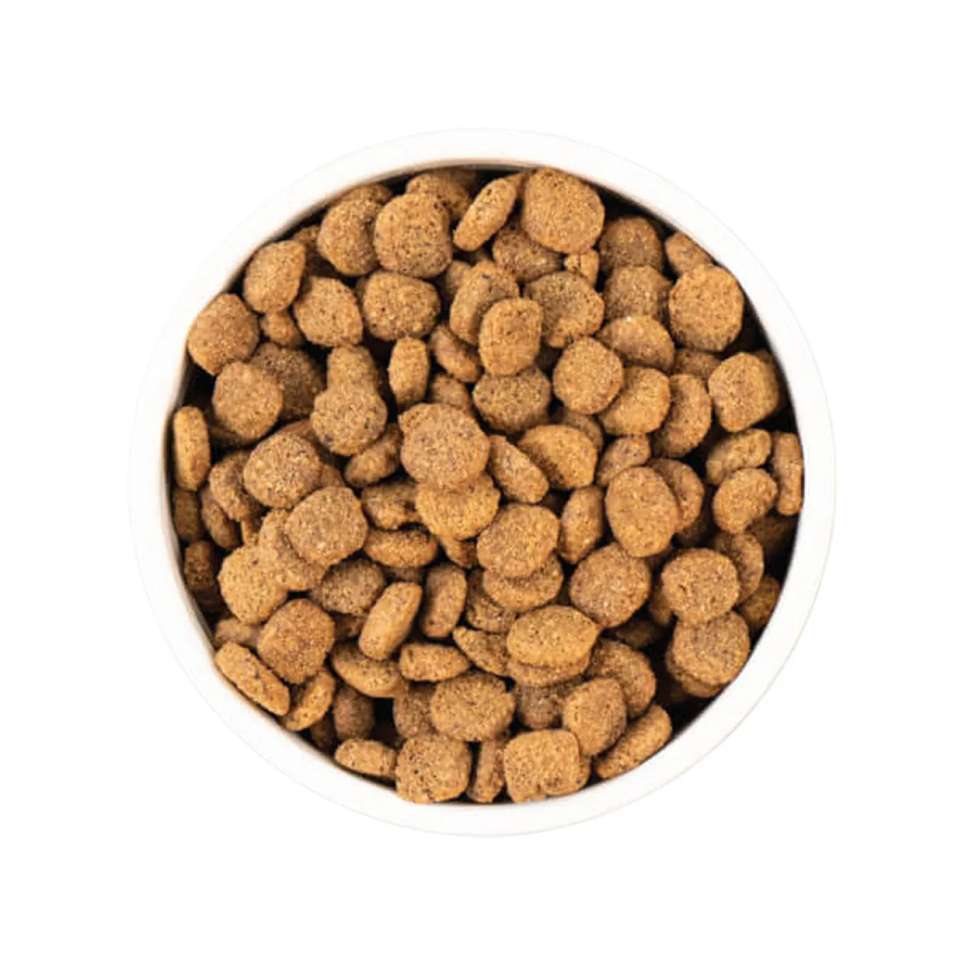 Earthborn Holistic Unrefined Ancient Grains & Superfoods Dry Dog Food