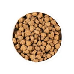 Earthborn Holistic Unrefined Ancient Grains & Superfoods Dry Dog Food