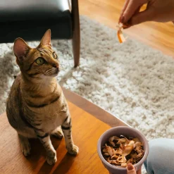 Earthly Cat Sushi Treats