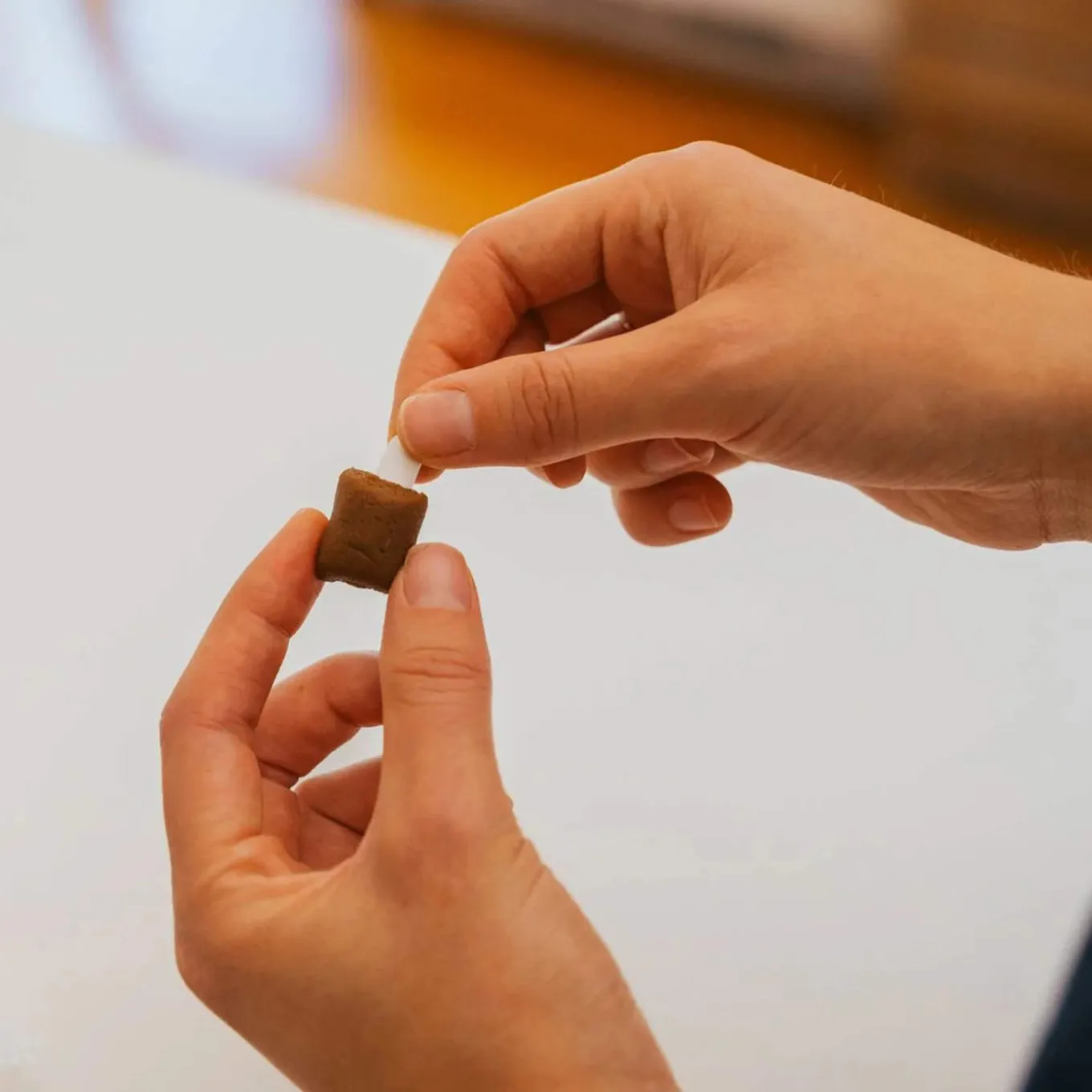 Earthly Pill Buddy Naturals Pill Hiding Dog Treats
