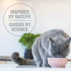 Feline Natural Freeze Dried Booster