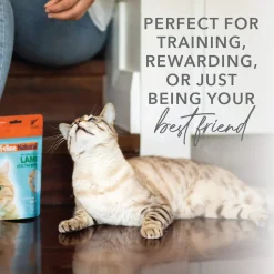 Feline Natural Freeze-Dried Bites for Cats
