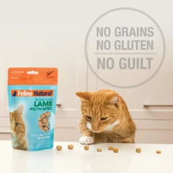 Feline Natural Freeze-Dried Bites for Cats