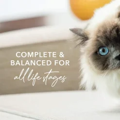 Feline Natural Grain-Free Canned Wet Cat Food
