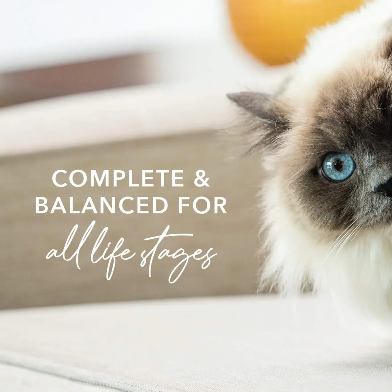 Feline Natural Grain-Free Cat Pouches
