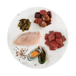 Feline Natural Grain-Free Freeze Dried Raw Cat Food