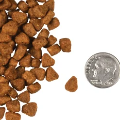Fromm Four Star Chicken Au Frommage Grain Free Recipe Dry Cat Food