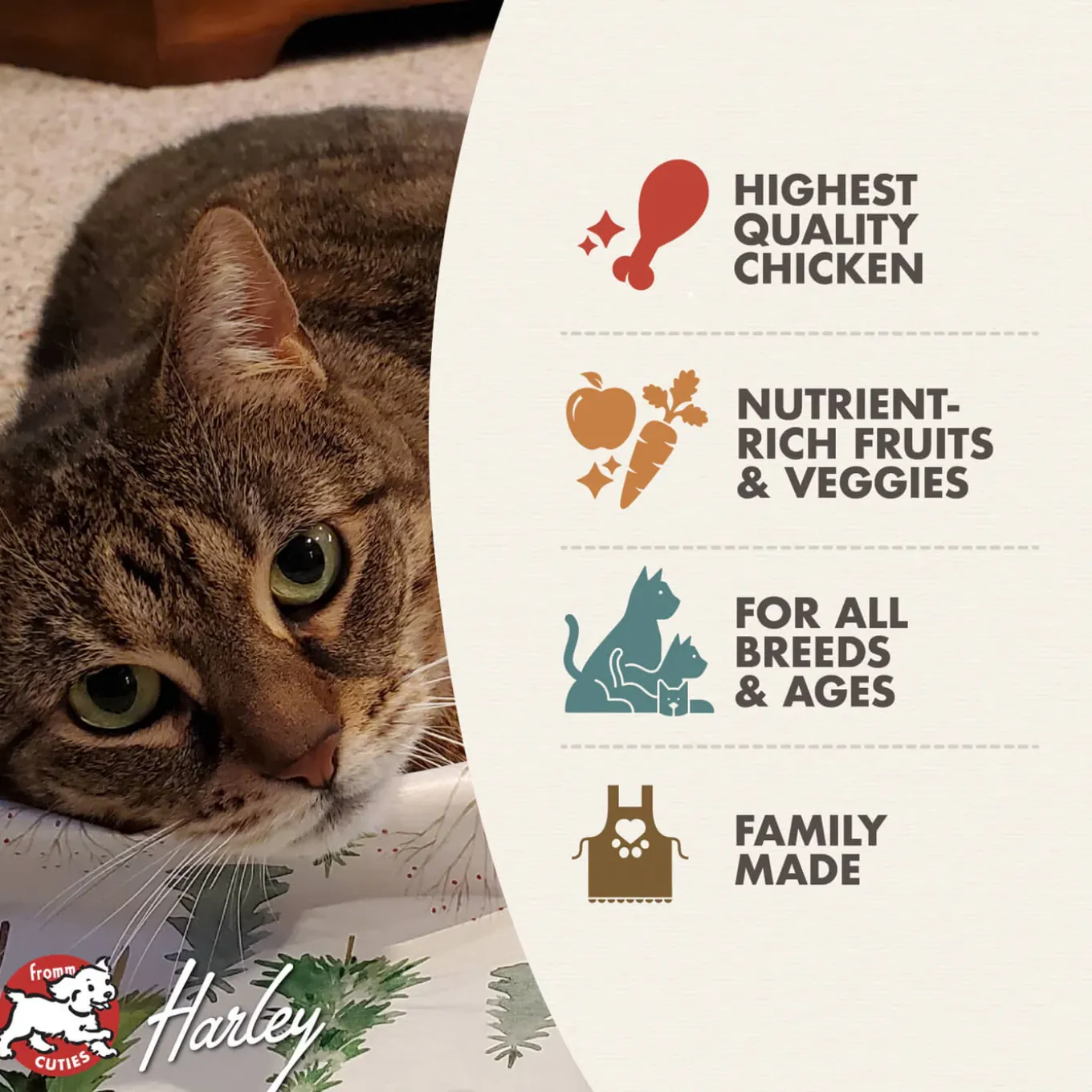 Fromm Four Star Chicken A La Veg Grain Inclusive Recipe Dry Cat Food