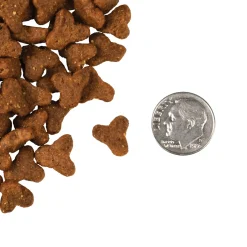 Fromm Four Star Grain Free Game Bird Recipe Dry Cat Food