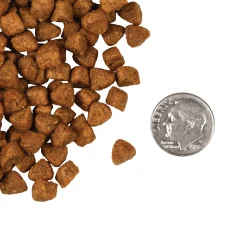 Fromm Four Star Hasen Duckenpfeffer Grain Free Dry Cat Food