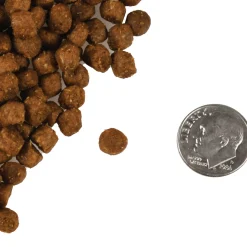 Fromm Four Star Trout & Whitefish Dry Cat Food