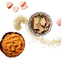 Fromm Four-Star Wet Cat Food Pate