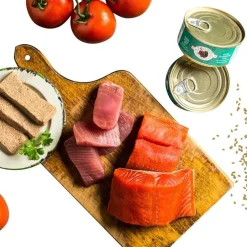 Fromm Four-Star Wet Cat Food Pate