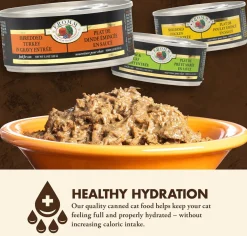 Fromm Four-Star Wet Cat Food Shredded in Gravy Entree