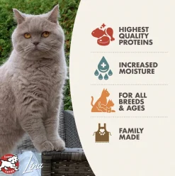 Fromm Four-Star Wet Cat Food Shredded in Gravy Entree