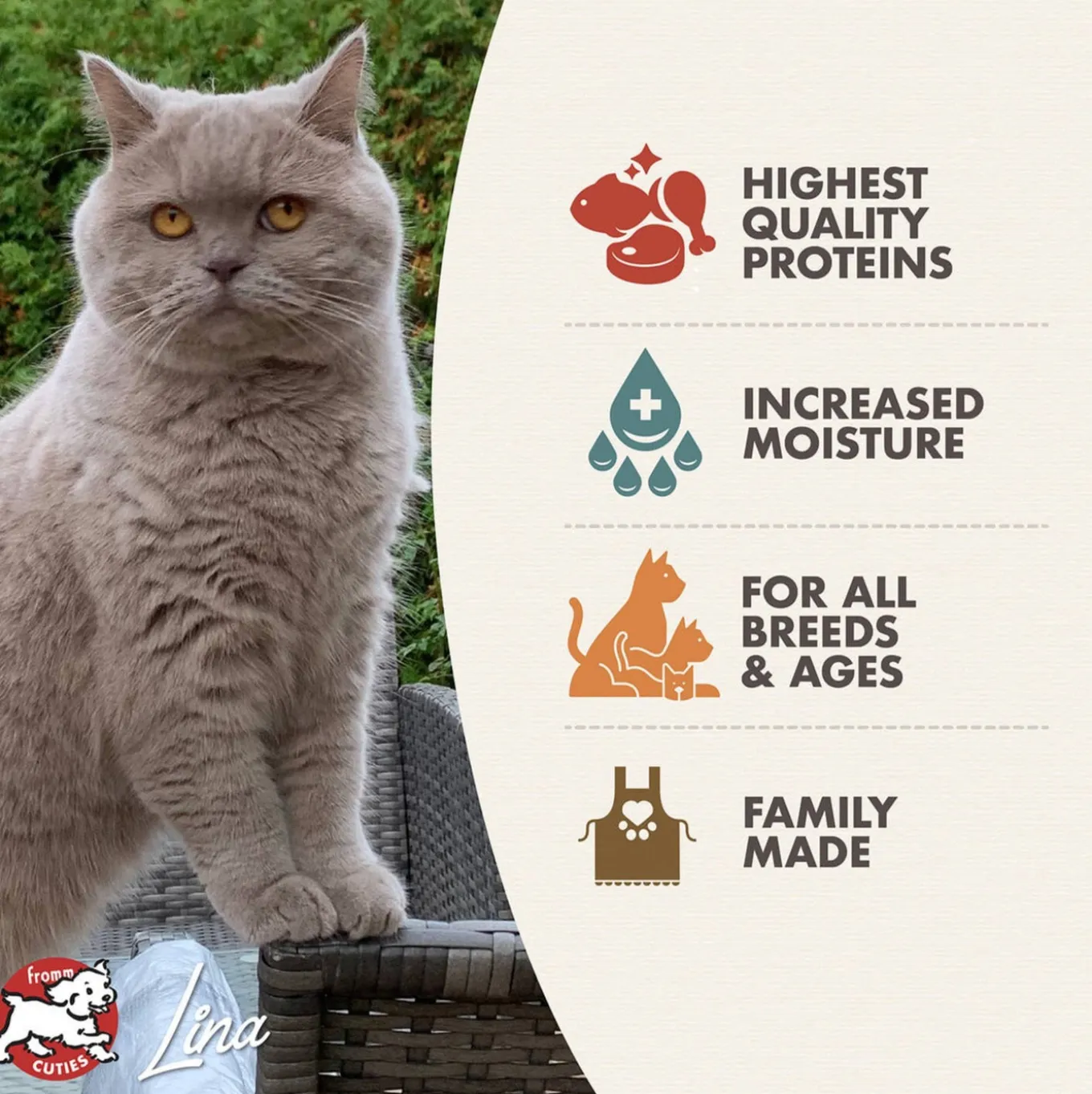 Fromm Four-Star Wet Cat Food Shredded in Gravy Entree