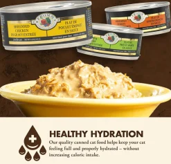 Fromm Four-Star Wet Cat Food Shredded in Gravy Entree