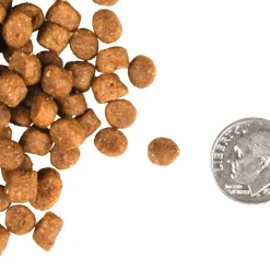 Fromm Healthy Weight Gold Dry Cat Food