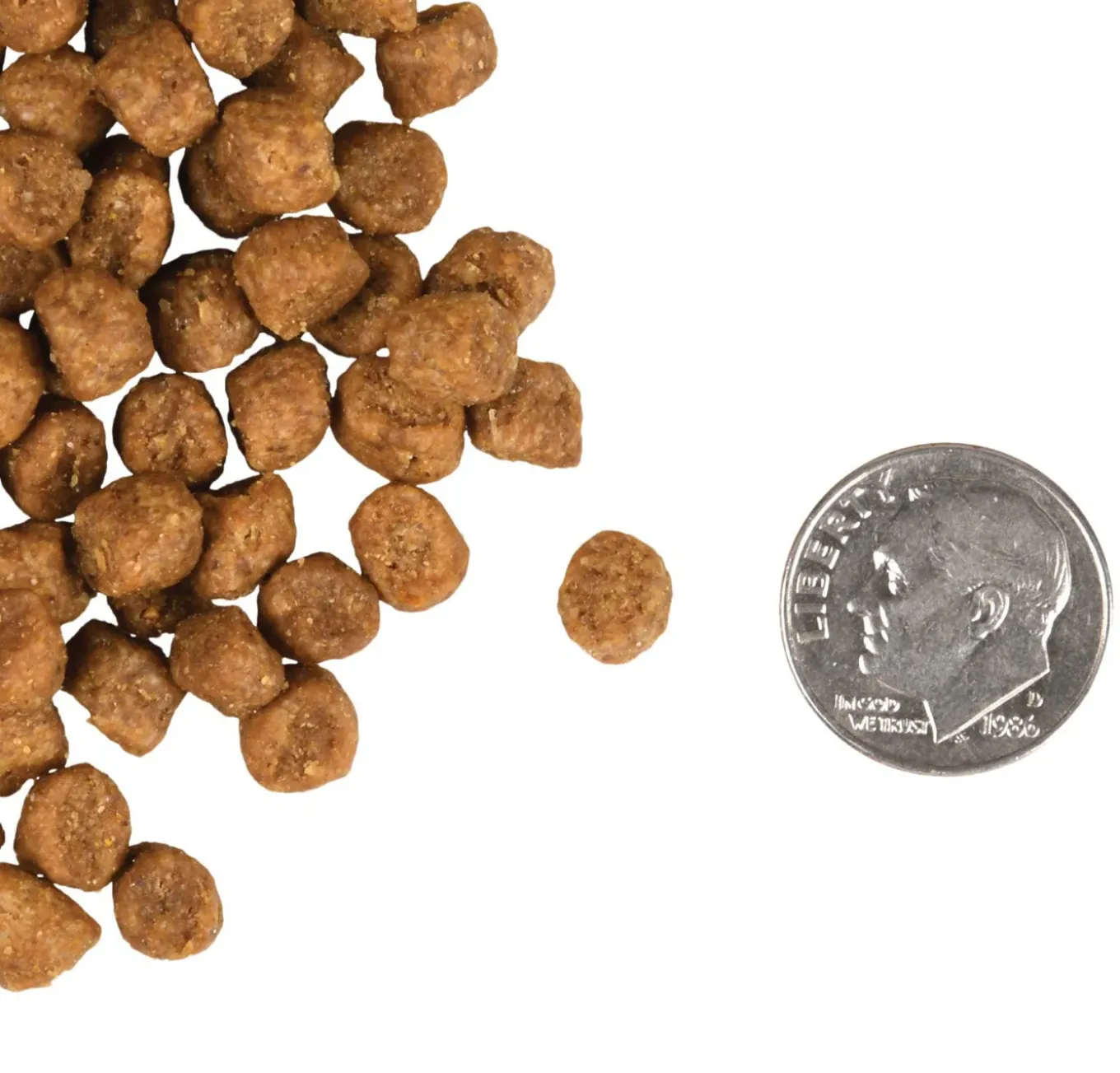 Fromm Indoor Cat Gold Dry Cat Food