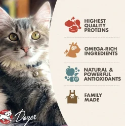 Fromm Kitten Gold Dry Cat Food