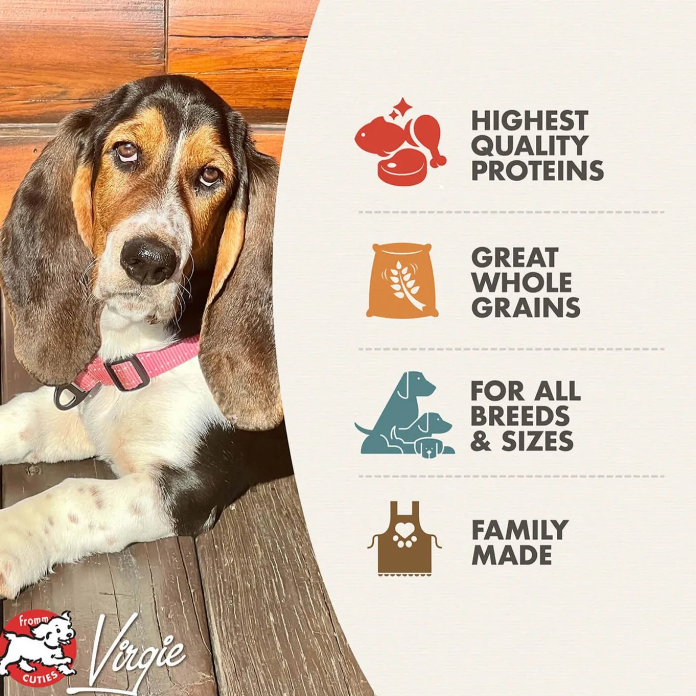 Fromm Adult Gold Dry Dog Food
