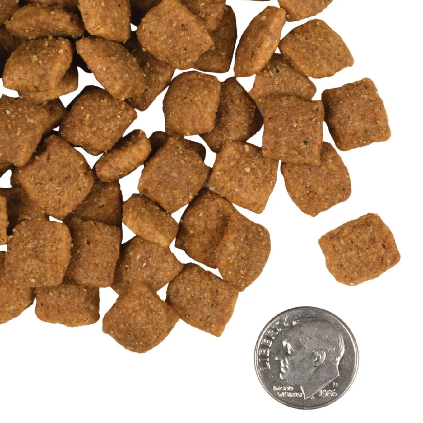 Fromm Adult Gold Dry Dog Food
