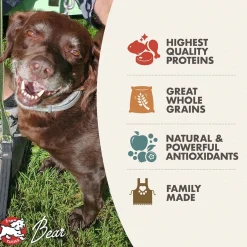 Fromm Classic Adult Formula Dry Dog Food