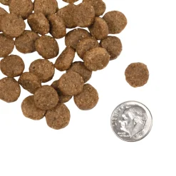 Fromm Classic Adult Formula Dry Dog Food