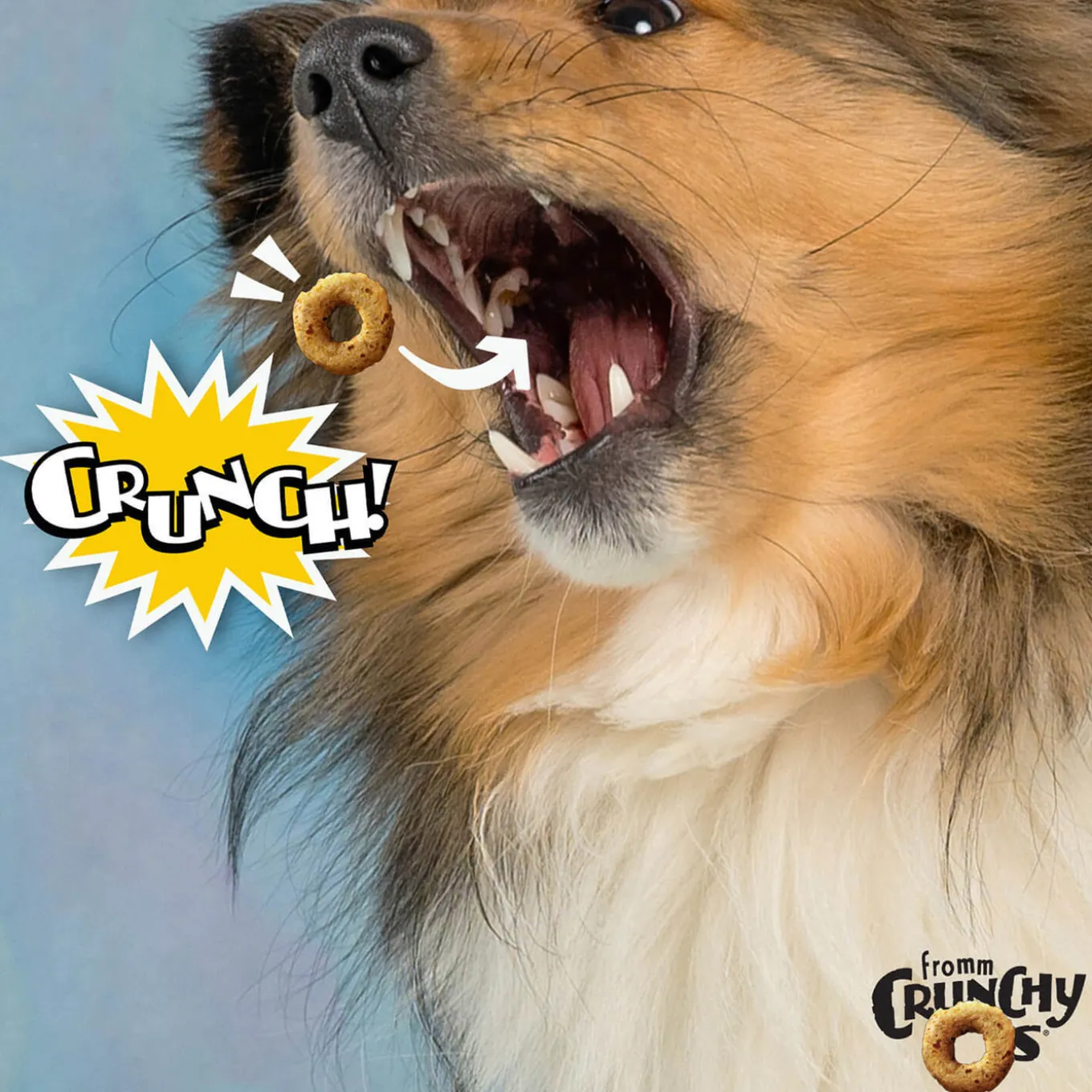 Fromm Crunchy Os Dog Treats