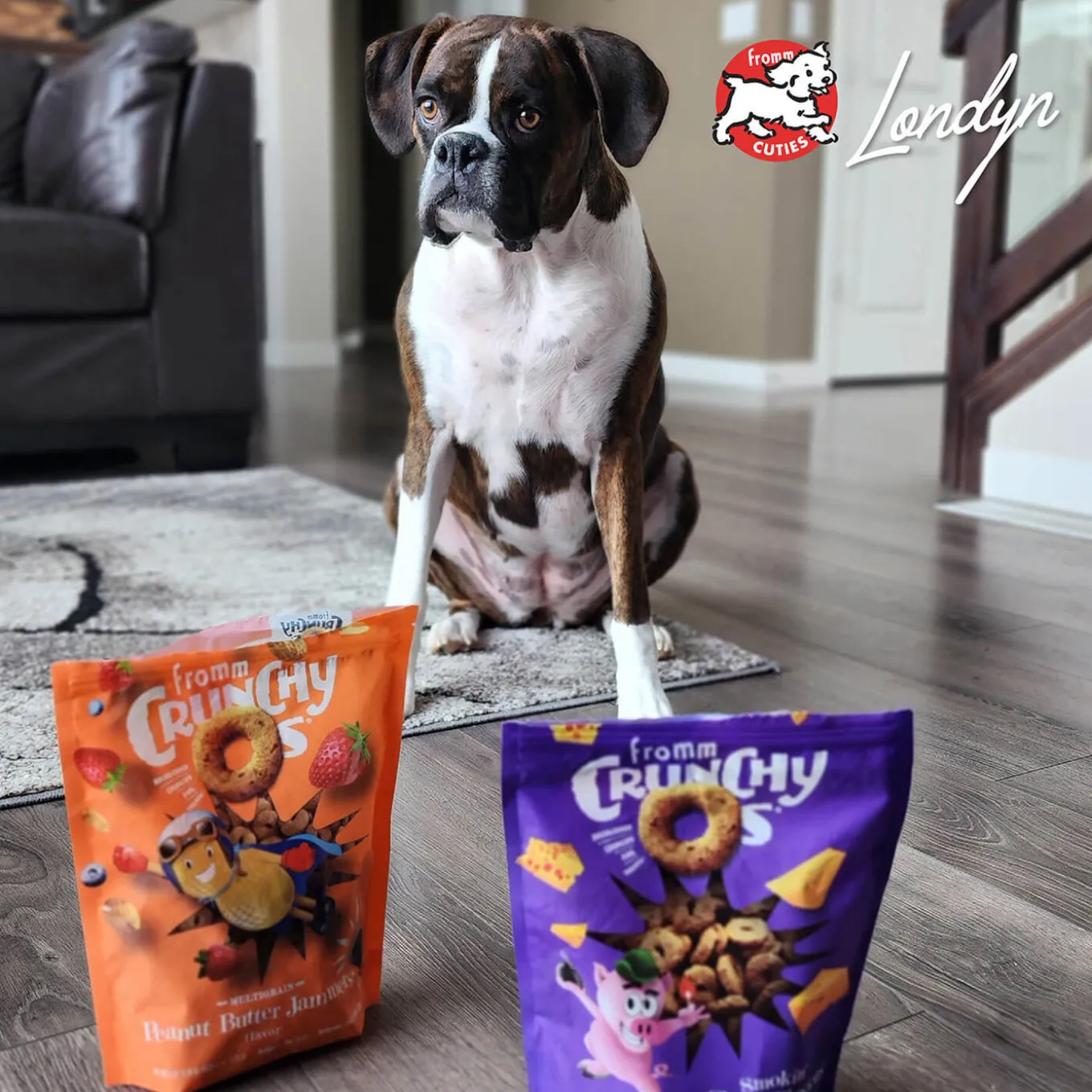 Fromm Crunchy Os Dog Treats