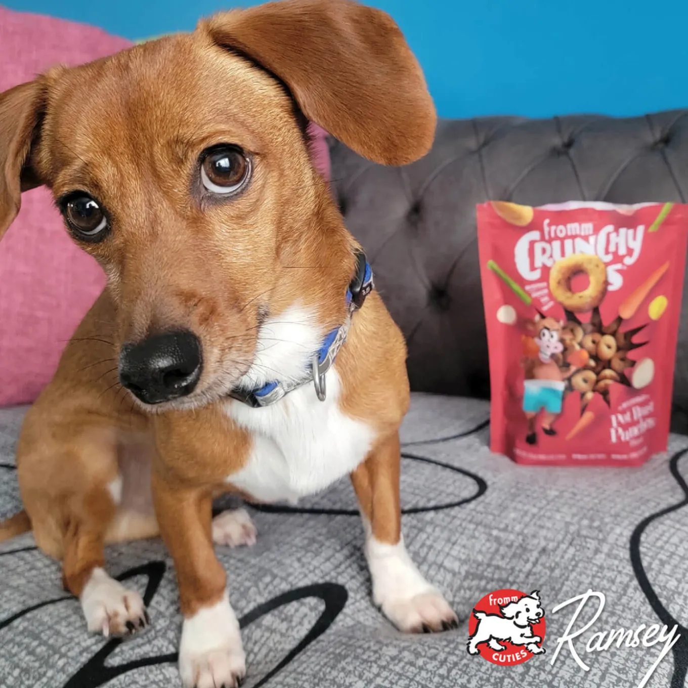 Fromm Crunchy Os Dog Treats
