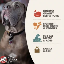 Fromm Four Star Beef Frittata Veg Grain Free Recipe Dry Dog Food