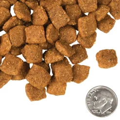 Fromm Four Star Chicken A La Veg Grain Inclusive Recipe Dry Dog Food