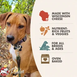 Fromm Four Star Grain Free Dog Treats