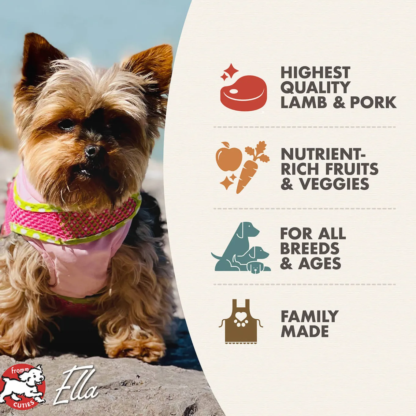 Fromm Four Star Lamb & Lentil Grain Free Recipe Dog Food