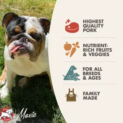 Fromm Four Star Pork & Peas Grain Free Recipe Dog Food