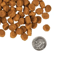 Fromm Four Star Pork & Peas Grain Free Recipe Dog Food