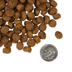 Fromm Four Star Salmon A La Veg Grain Inclusive Dry Dog Food