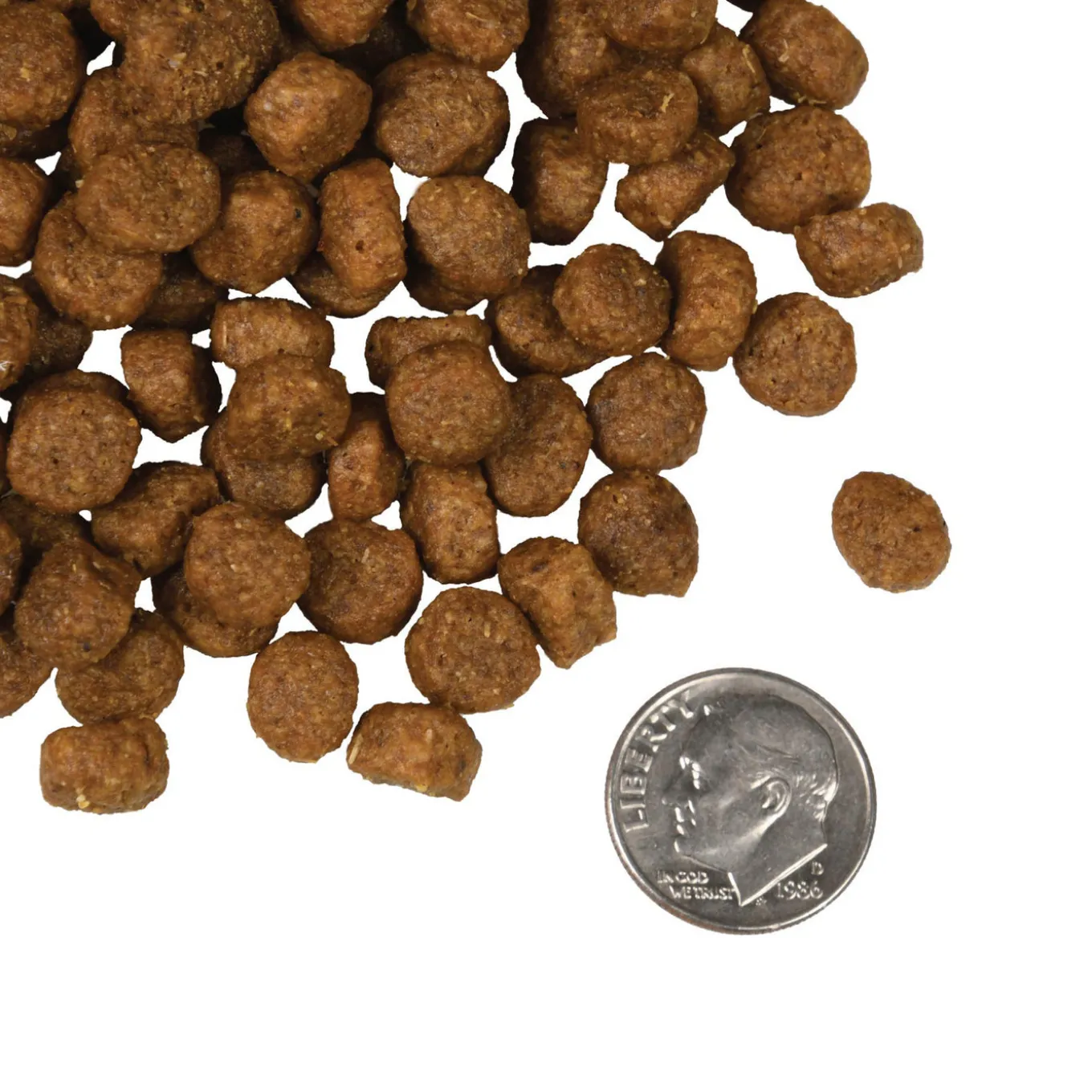 Fromm Four Star Salmon A La Veg Grain Inclusive Dry Dog Food
